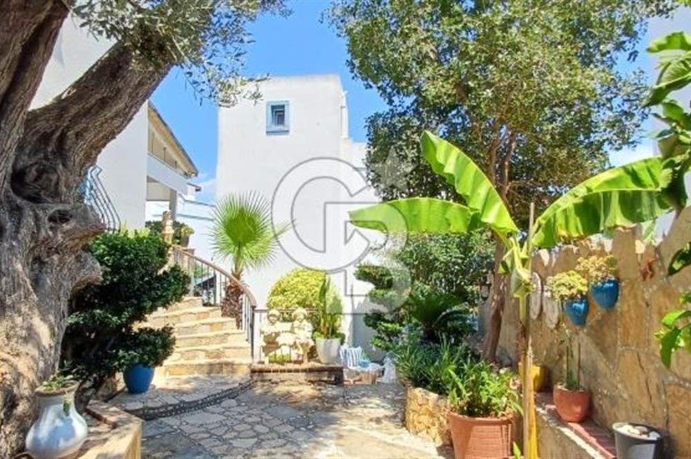 Bodrum Torba Satılık 4 + 1 Müştemilatlı Tripleks