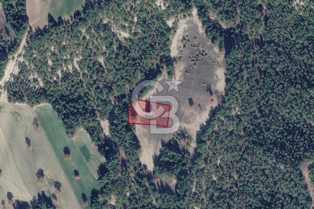 Kütahya Gediz Dere de 2.171 m² Müstakil Tapulu
