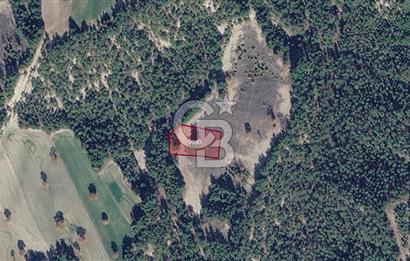 Kütahya Gediz Dere de 2.171 m² Müstakil Tapulu