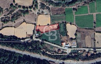 Balıkesir Dursunbey Küçükler de 2.952 m² İmarlı Arsa