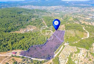 Urla Camiatik te yatırımlık tarla  - 6 - 367244