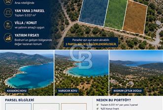 Muğla Bodrum Çiftlik'te Geleceğe Yatırım İmarlı 1500m2 Arsa - 2 - 367246