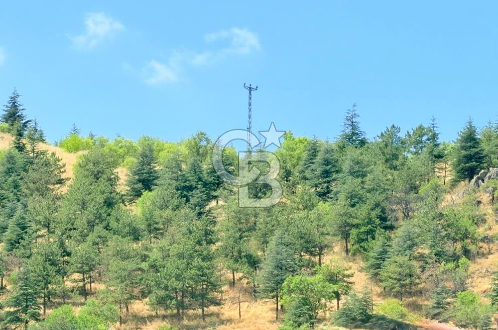Mamak, Başak Mahallesi, Satılık 3+1, Ara Kat, Kök Tapu, Ön Cephe