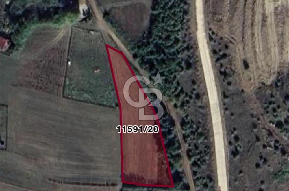 ATAKUM KAMALI’DA YOLU BULUNAN – İMAR SINIRINA YAKIN 1.730 m² SATILIK TARLA HİSSESİ