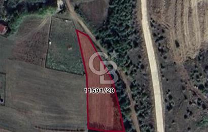 ATAKUM KAMALI’DA YOLU BULUNAN – İMAR SINIRINA YAKIN 1.730 m² SATILIK TARLA HİSSESİ