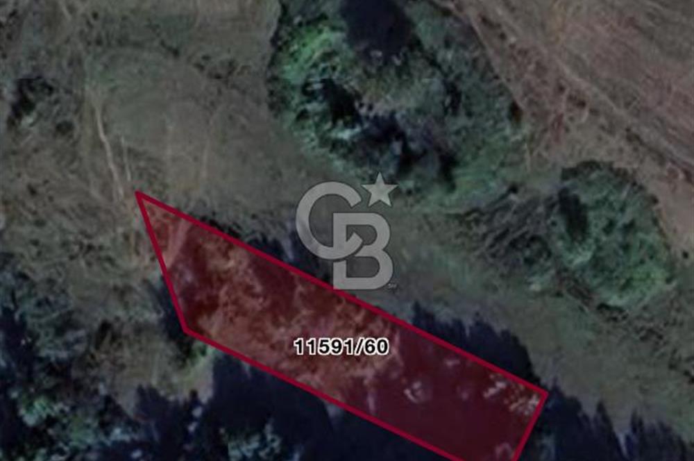 ATAKUM KAMALI’DA ÖZEL HAREKAT YAKINI – 473,92 m² SATILIK TARLA HİSSESİ
