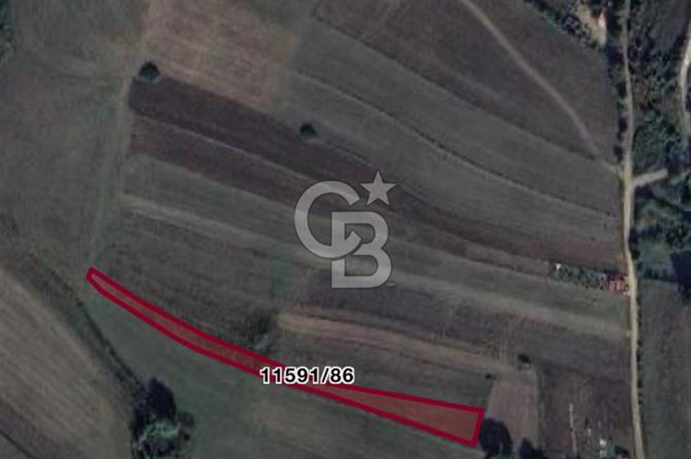 ATAKUM KAMALI’DA İMAR SINIRINA YAKIN – 1.435,96 m² SATILIK TARLA HİSSESİ