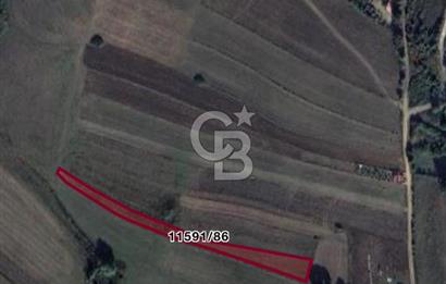 ATAKUM KAMALI’DA İMAR SINIRINA YAKIN – 1.435,96 m² SATILIK TARLA HİSSESİ