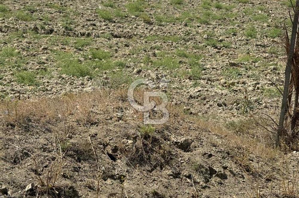 Gölbaşı Emirler’de 14 Dönüm Tek Tapu Yatırımlık Tarla
