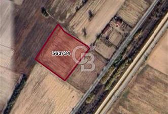 KIRKLARELİ KARACAİBRAHİMDE SATILIK TARLA - 2 - 367327