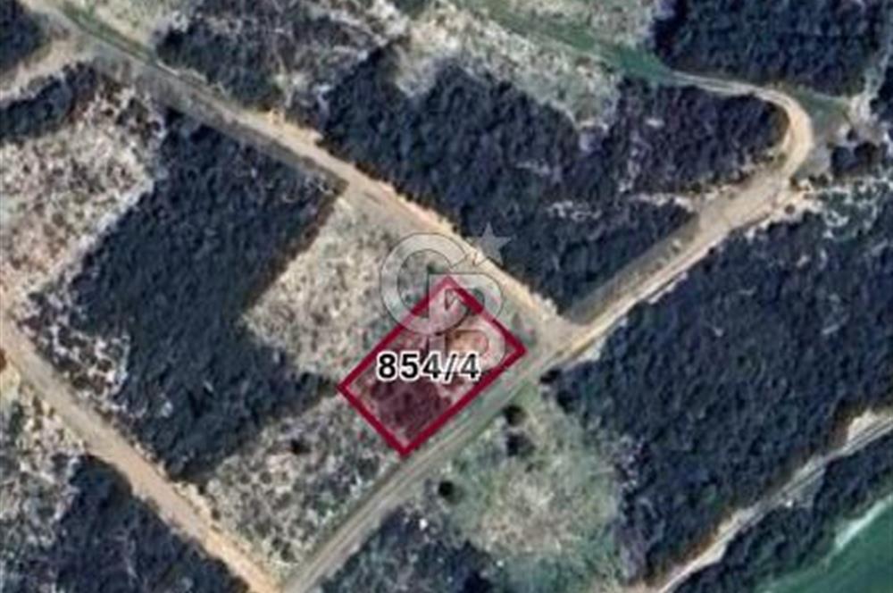 Didim seyrantepede 624 M2 arsa 