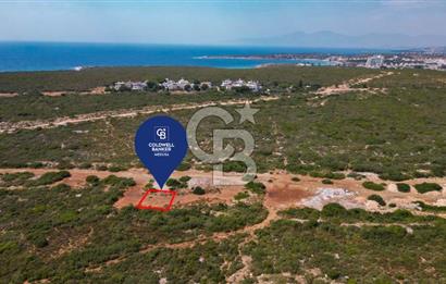 Didim Hisar mahallesinde satılık 188 M2 villa imarlı arsa 