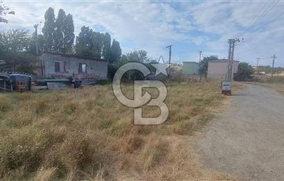 Tekirdağ Ereğli Sultanköy’de Denize 350M 554 M² Villa İmarlı Fırsat Arsa 
