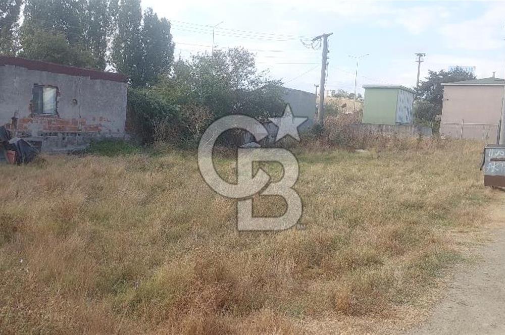 Tekirdağ Ereğli Sultanköy’de Denize 350M 554 M² Villa İmarlı Fırsat Arsa 