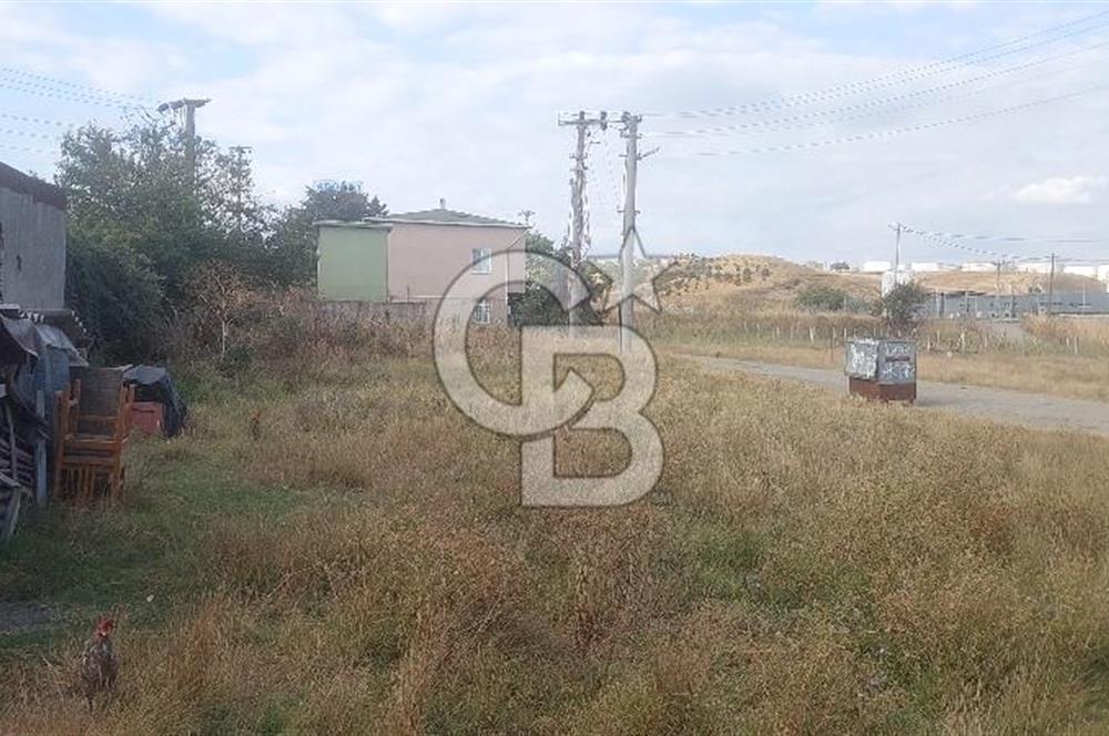Tekirdağ Ereğli Sultanköy’de Denize 350M 554 M² Villa İmarlı Fırsat Arsa 
