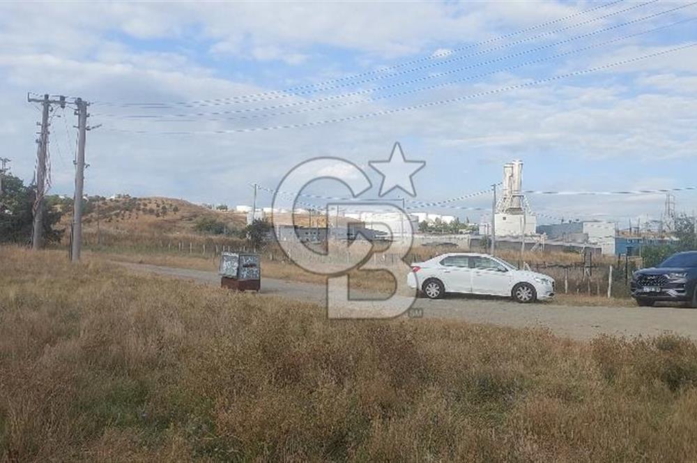 Tekirdağ Ereğli Sultanköy’de Denize 350M 554 M² Villa İmarlı Fırsat Arsa 