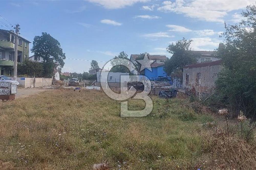 Tekirdağ Ereğli Sultanköy’de Denize 350M 554 M² Villa İmarlı Fırsat Arsa 