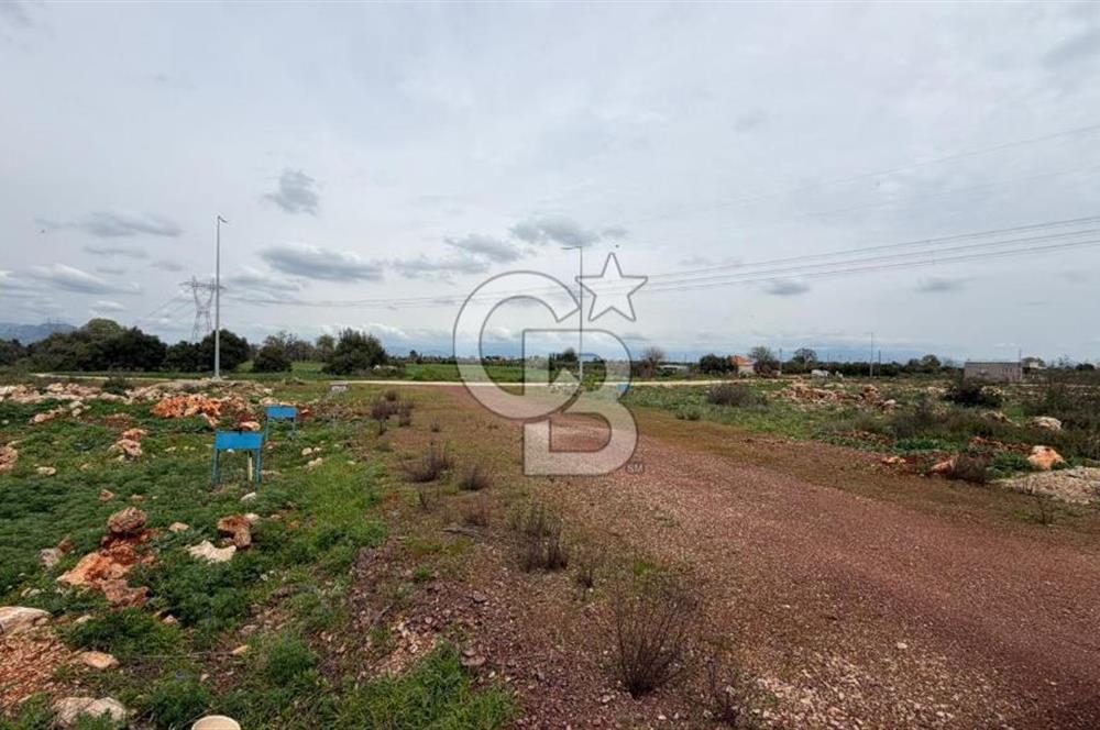 KEPEZ KİRİŞÇİLER 909 MT2 SATILIK KOOPERATİF HİSSESİ