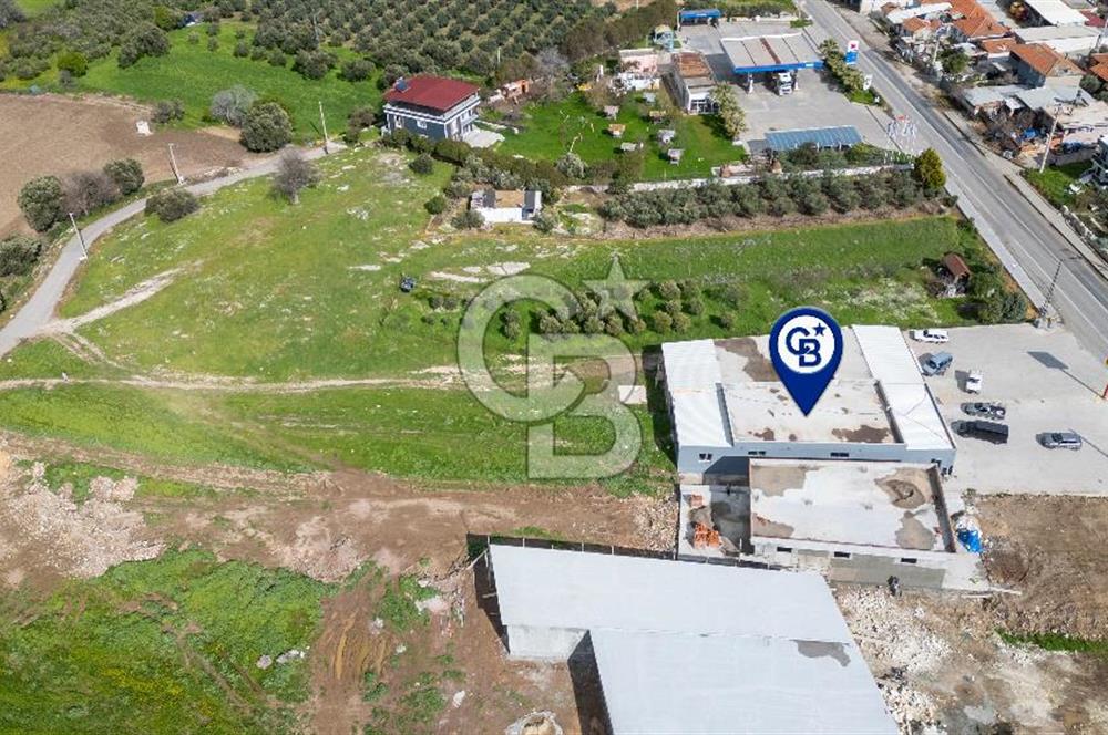 Foça Ilıpınar Anayol Üzeri Kiralık Dükkan ve Arazi