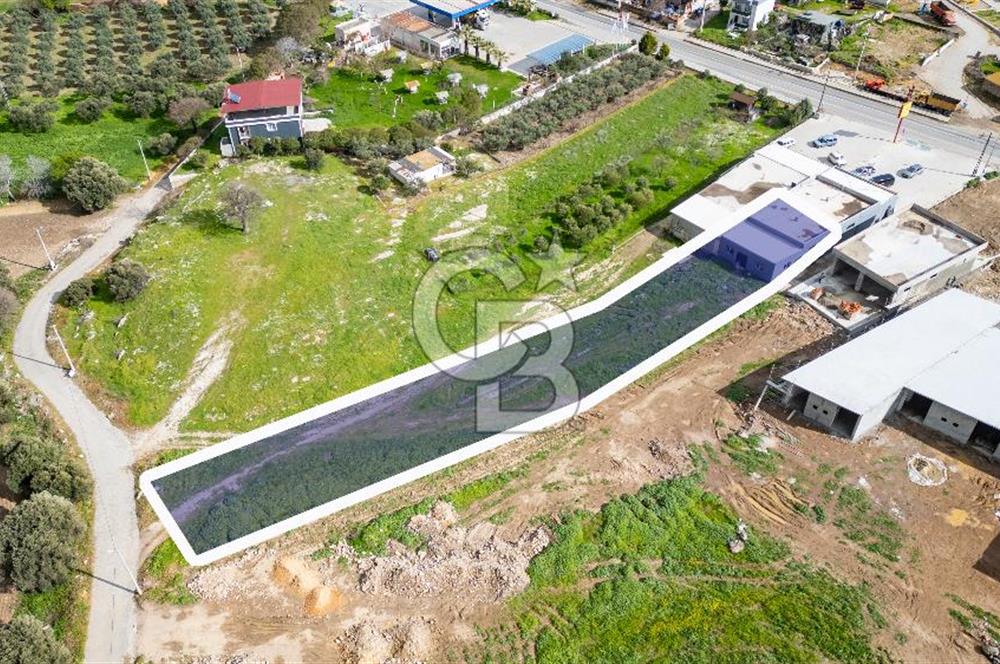 Foça Ilıpınar Anayol Üzeri Satılık Dükkan ve Arazi