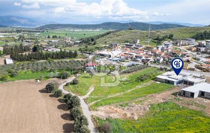 Foça Ilıpınar Anayol Üzeri Satılık Dükkan ve Arazi