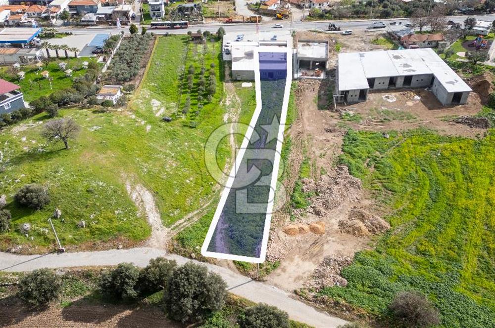 Foça Ilıpınar Anayol Üzeri Kiralık Dükkan ve Arazi