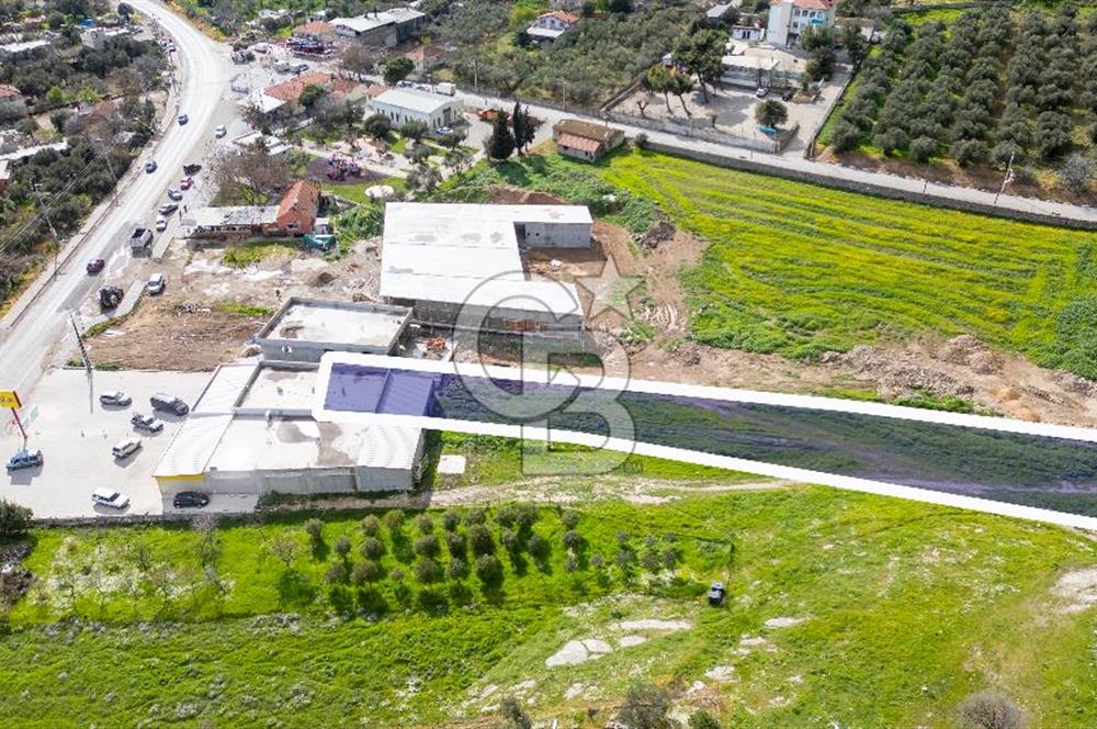 Foça Ilıpınar Anayol Üzeri Kiralık Dükkan ve Arazi