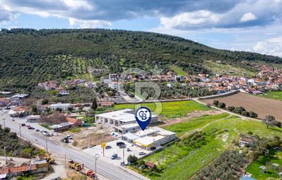 Foça Ilıpınar Anayol Üzeri Kiralık Dükkan ve Arazi