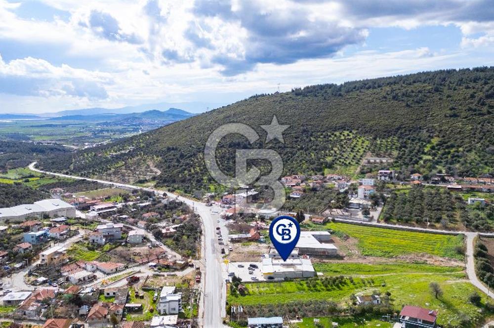 Foça Ilıpınar Anayol Üzeri Satılık Dükkan ve Arazi