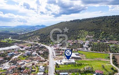 Foça Ilıpınar Anayol Üzeri Satılık Dükkan ve Arazi