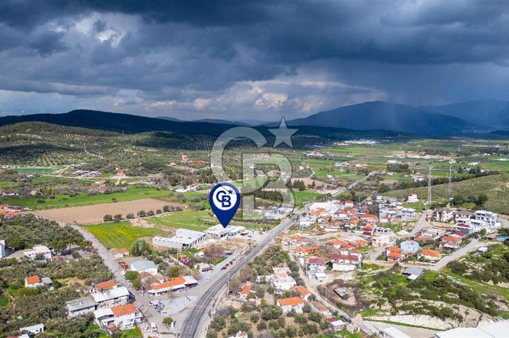 Foça Ilıpınar Anayol Üzeri Satılık Dükkan ve Arazi