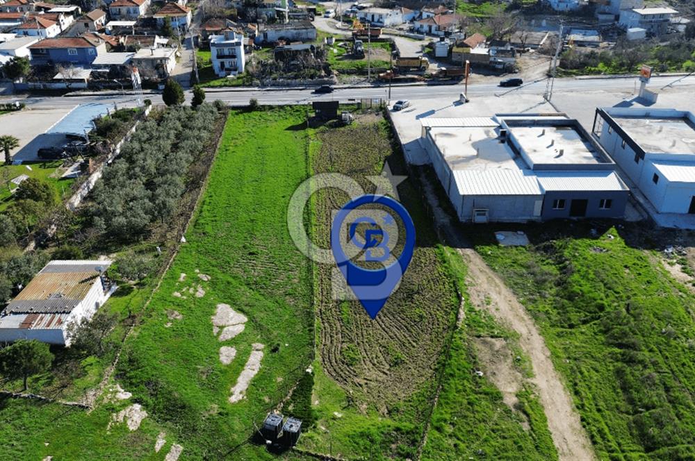 Foça İzmir Karayolu Üzerinde Kiralık Arsa