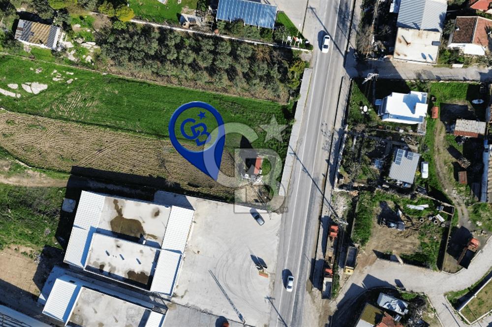 Foça İzmir Karayolu Üzerinde Kiralık Arsa
