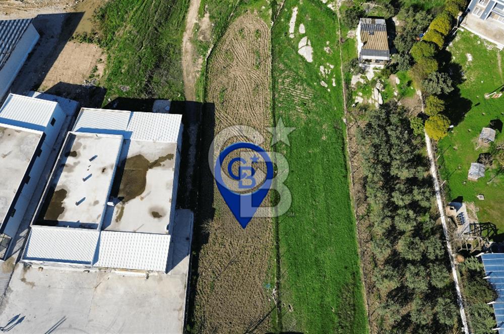 Foça İzmir Karayolu Üzerinde Kiralık Arsa
