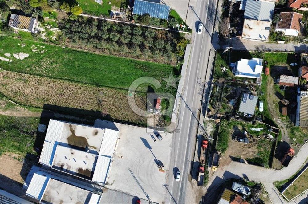 Foça İzmir Karayolu Üzerinde Satılık Arsa
