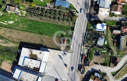 Foça İzmir Karayolu Üzerinde Satılık Arsa