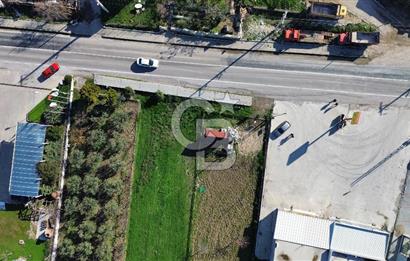 Foça İzmir Karayolu Üzerinde Kiralık Arsa