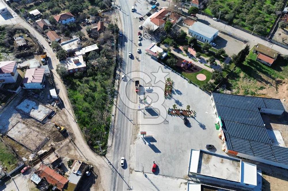 Foça İzmir Karayolu Üzerinde Kiralık Arsa