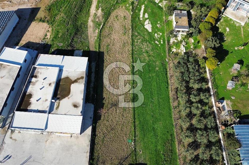 Foça İzmir Karayolu Üzerinde Satılık Arsa