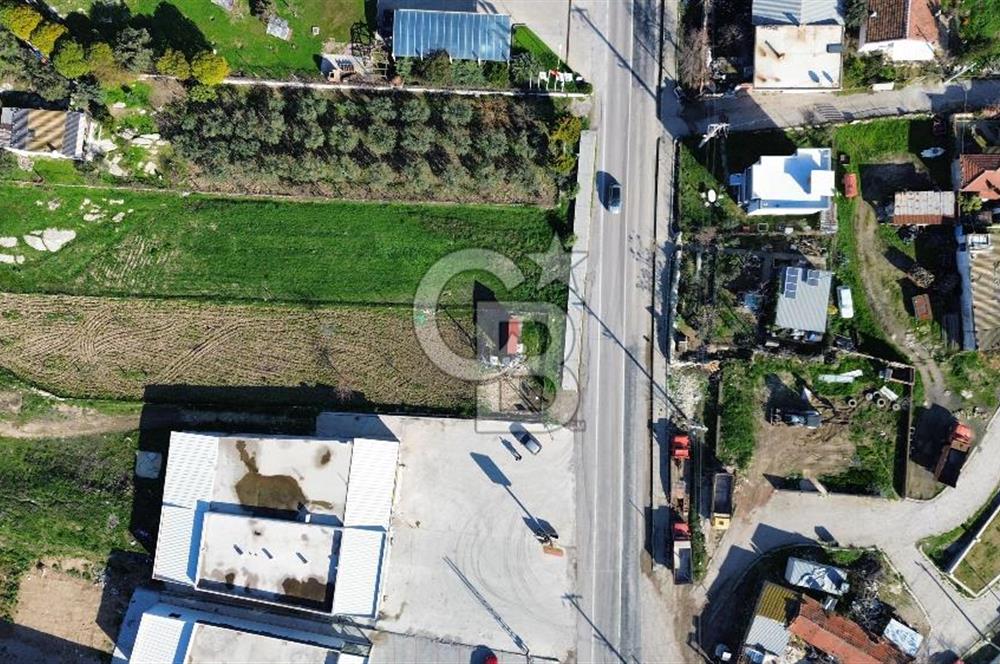 Foça İzmir Karayolu Üzerinde Kiralık Arsa
