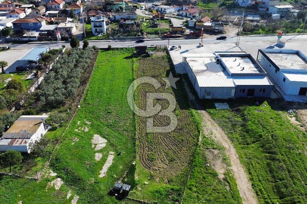 Foça İzmir Karayolu Üzerinde Kiralık Arsa