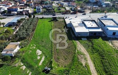 Foça İzmir Karayolu Üzerinde Kiralık Arsa