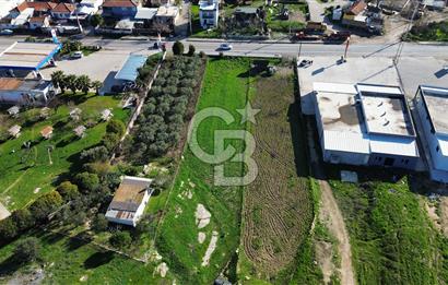 Foça İzmir Karayolu Üzerinde Satılık Arsa