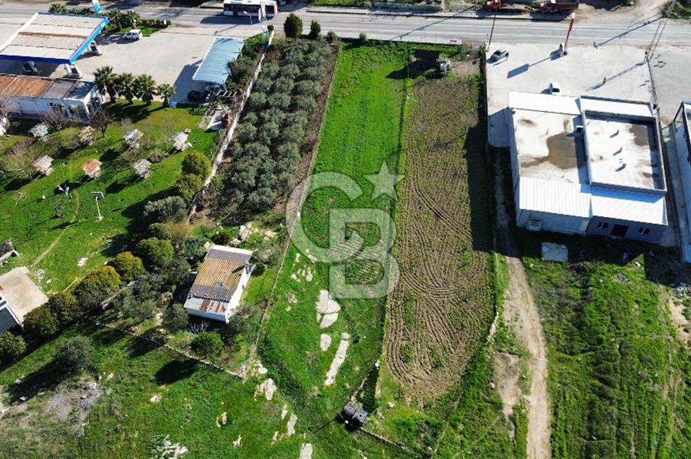 Foça İzmir Karayolu Üzerinde Kiralık Arsa