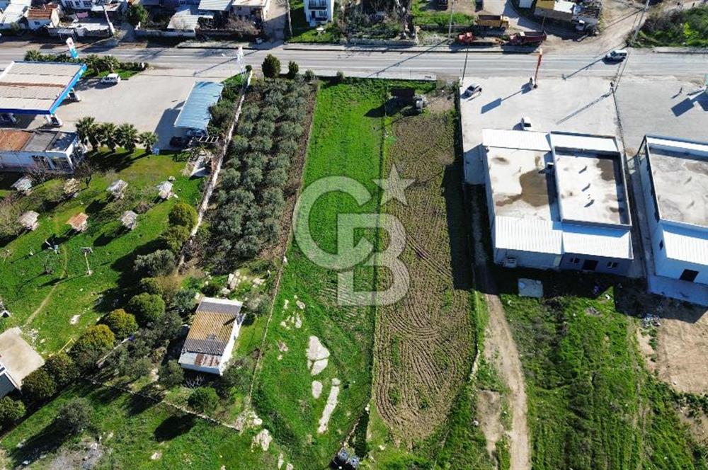 Foça İzmir Karayolu Üzerinde Kiralık Arsa