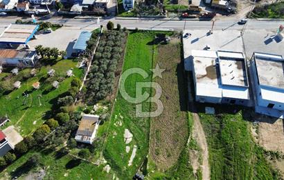Foça İzmir Karayolu Üzerinde Kiralık Arsa