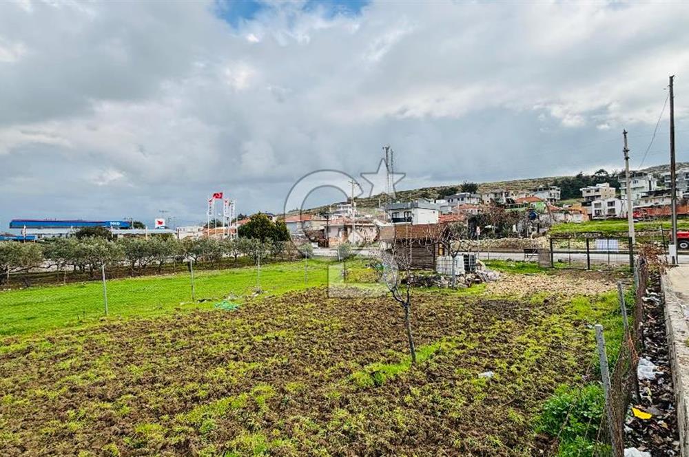 Foça İzmir Karayolu Üzerinde Kiralık Arsa