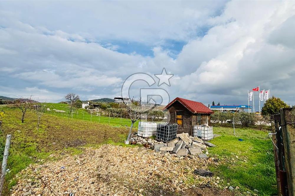 Foça İzmir Karayolu Üzerinde Kiralık Arsa