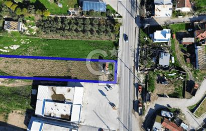 Foça İzmir Karayolu Üzerinde Satılık Arsa