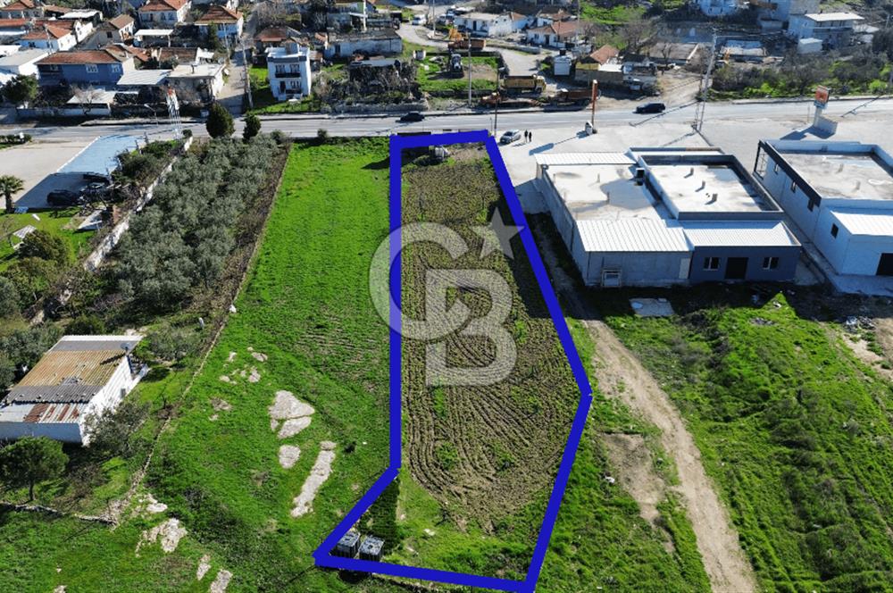 Foça İzmir Karayolu Üzerinde Satılık Arsa
